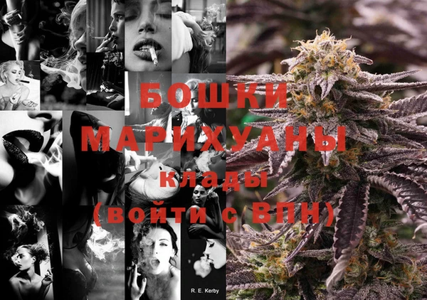 PSILOCYBIN Алзамай