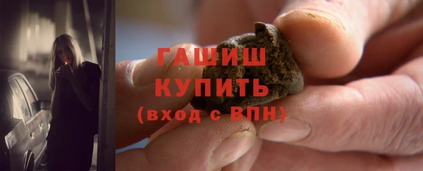 PSILOCYBIN Алзамай