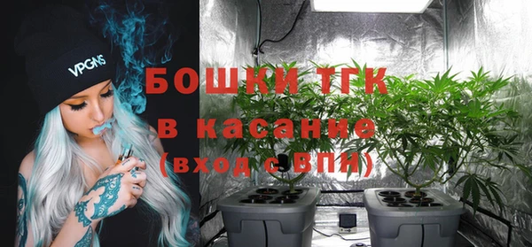 PSILOCYBIN Алзамай