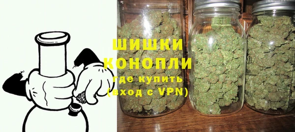 PSILOCYBIN Алзамай