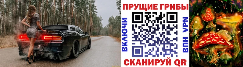 купить закладку  Чистополь  Галлюциногенные грибы Magic Shrooms 