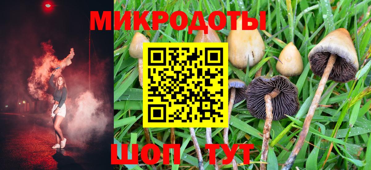 Галлюциногенные грибы GOLDEN TEACHER Чистополь