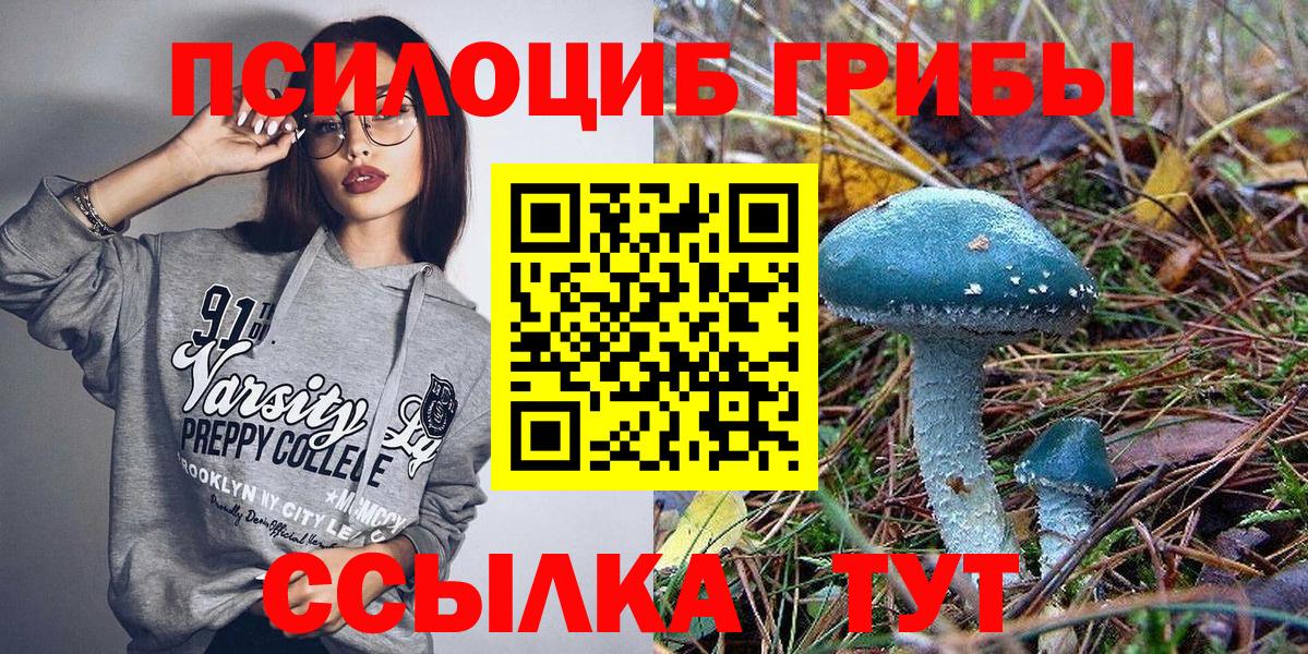 сколько стоит  Вход с VPN  Чистополь  Псилоцибиновые грибы Cubensis  Псилоцибиновые грибы Cubensis 
