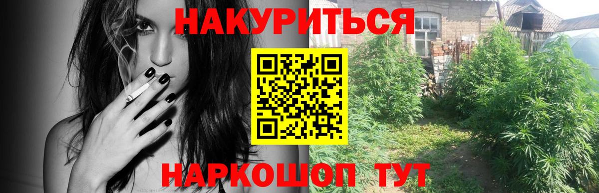 Канабис OG Kush Чистополь